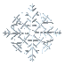 The Winter 2010 Adventure